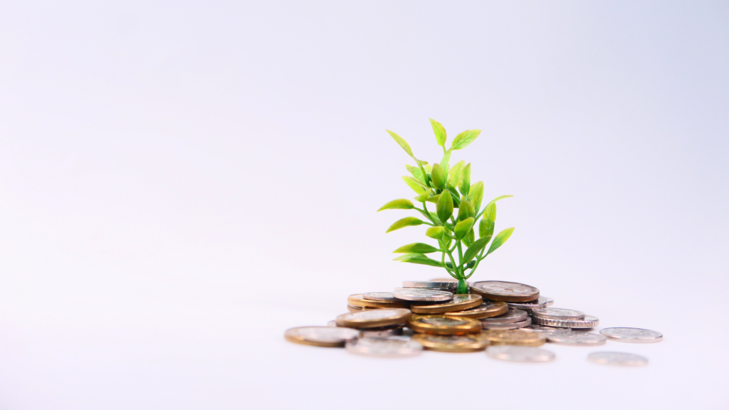 Novembre, le mois de l'ESS